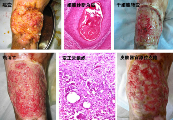 k豆钱包官方网站 - kdpay钱包