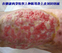 k豆钱包官方网站 - kdpay钱包