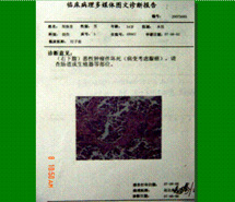 k豆钱包官方网站 - kdpay钱包
