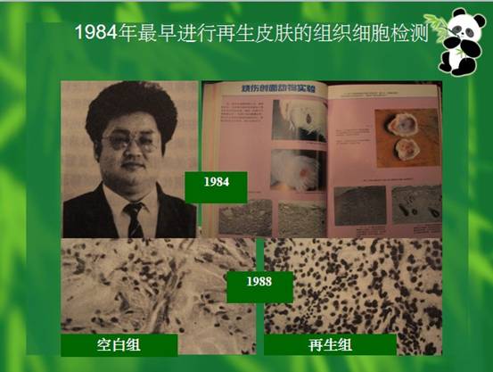 k豆钱包官方网站 - kdpay钱包