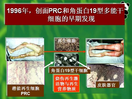 k豆钱包官方网站 - kdpay钱包