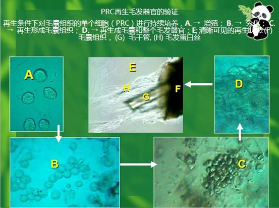 k豆钱包官方网站 - kdpay钱包