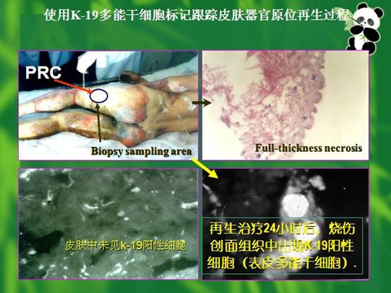 k豆钱包官方网站 - kdpay钱包