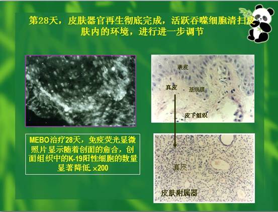 k豆钱包官方网站 - kdpay钱包
