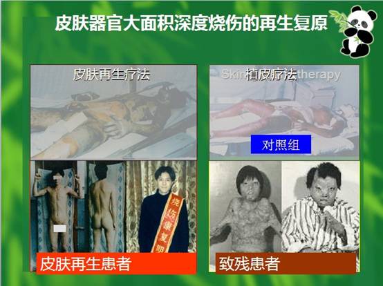 k豆钱包官方网站 - kdpay钱包