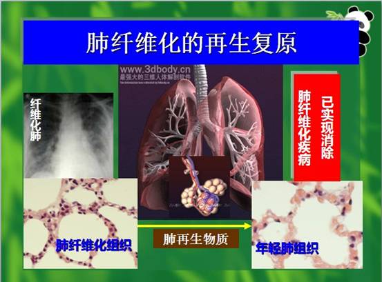 k豆钱包官方网站 - kdpay钱包