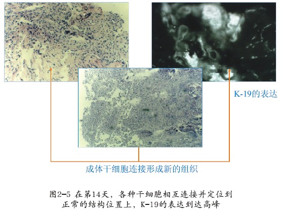 k豆钱包官方网站 - kdpay钱包