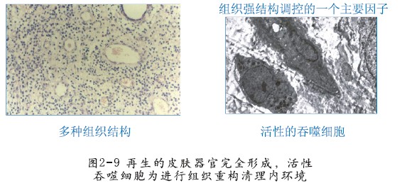k豆钱包官方网站 - kdpay钱包