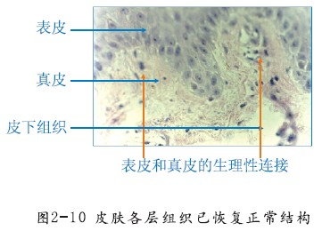 k豆钱包官方网站 - kdpay钱包