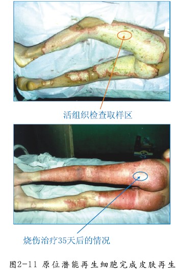 k豆钱包官方网站 - kdpay钱包