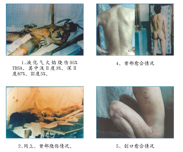 k豆钱包官方网站 - kdpay钱包