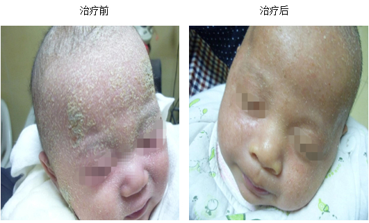 k豆钱包官方网站 - kdpay钱包